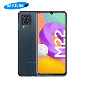 Samsung Galaxy M22